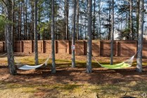 Photo #4