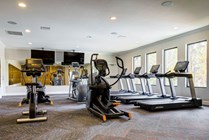 The-Collective-at-Clemson-Apartments-Near-Clemson-University-Fitness-Center-Cardio