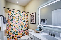 The-Collective-at-Clemson-Apartments-Near-Clemson-University-Private-Bathroom-2