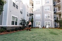 Dogpark-400x267-6ea657c