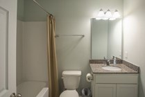 Photo #7