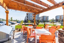 Signature-Hartwell-Village-Off-Campus-Apartments-Near-Clemson-University-Grilling-and-Picnic-Station