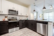 Signature-Hartwell-Village-Off-Campus-Apartments-Near-Clemson-University-Kitchen
