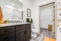 Signature-Hartwell-Village-Off-Campus-Apartments-Near-Clemson-University-Private-Bathroom