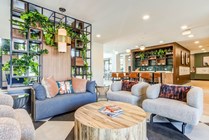 Signature-Hartwell-Village-Off-Campus-Apartments-Near-Clemson-University-Resident-Clubhouse-Lounge-Seating