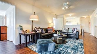 University Village at Clemson Apartments