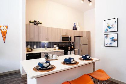 clemson furnished apartment shopping list