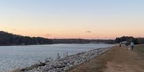 The Dikes