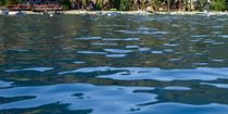 Lake Hartwell